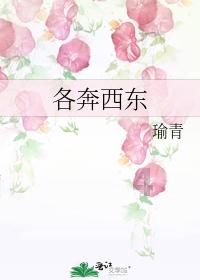 实况足球
